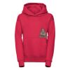 Kids hooded sweatshirt Thumbnail