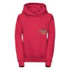 Kids hooded sweatshirt Thumbnail