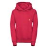 Kids hooded sweatshirt Thumbnail