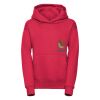 Kids hooded sweatshirt Thumbnail