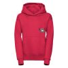 Kids hooded sweatshirt Thumbnail