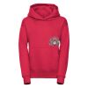 Kids hooded sweatshirt Thumbnail