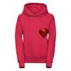 Kids hooded sweatshirt Thumbnail